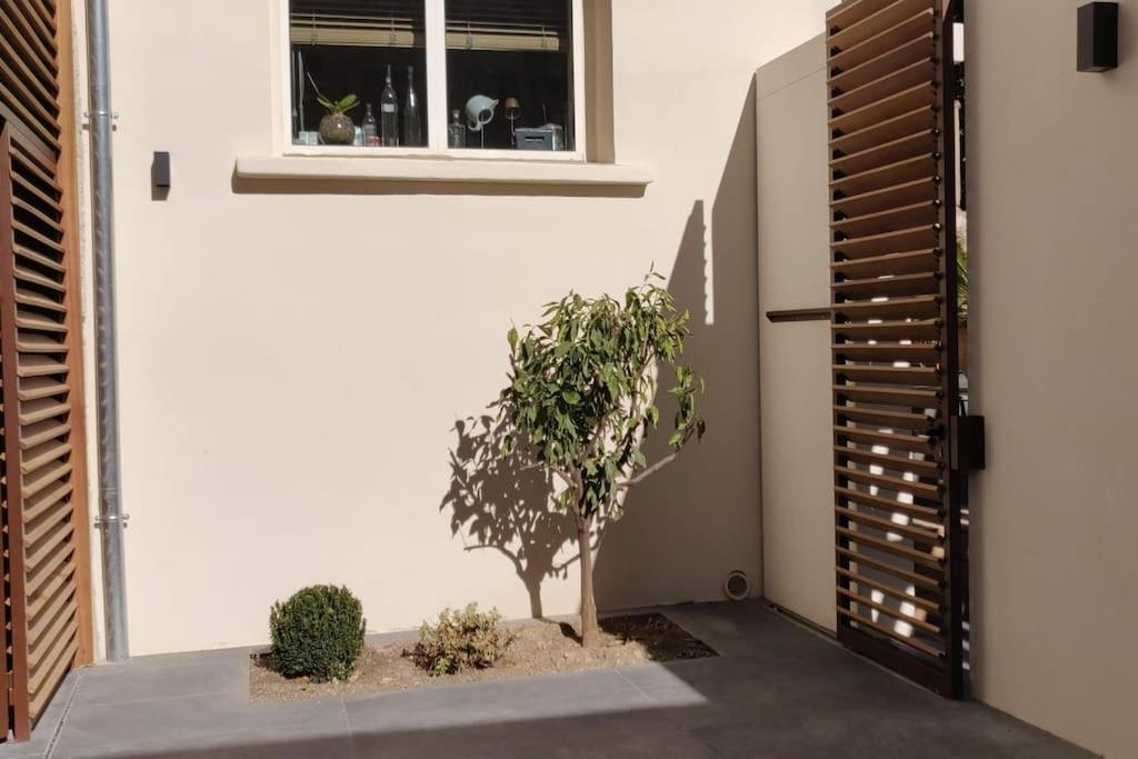 La Maison De Colette - Coeur De Village Cuxac-dʼAude エクステリア 写真